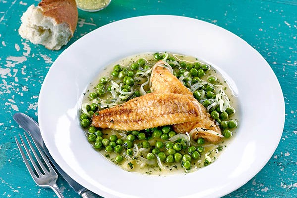 Gurnard Fish Recipe With Peas and Cider Gurnard Fish Recipe With Peas and Cider