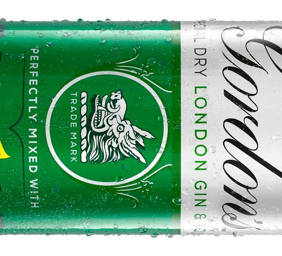 Gordon's gin and tonic in a can