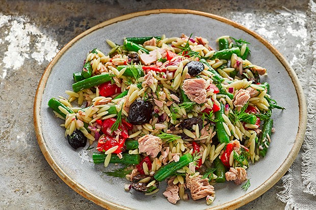 Best Healthy Picnic Food Orzo Pasta Salad with Beans and Tuna on a Plate