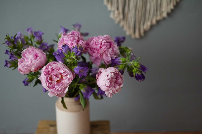 Peonies in a vase