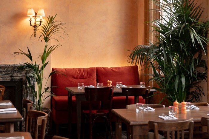 The Orange An interior shot of The Orange in Pimlico London