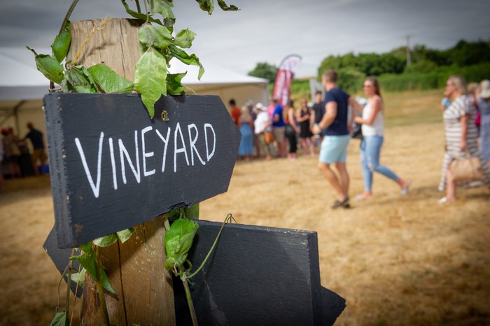 Vineyards of Hampshire A vineyard sign pointing to a field of people