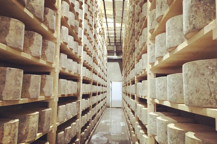 Westcombe dairy cheese Westcombe dairy cheese
