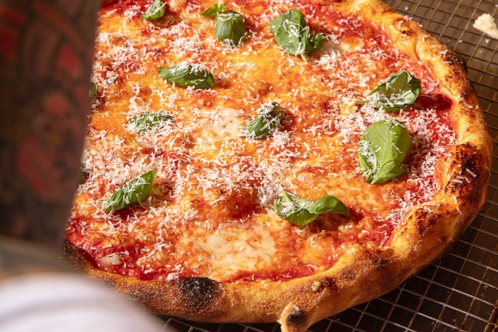 xAlley_Cats_020_9626 (1) xAlley_Cats_020_9626 (1)